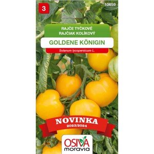 Semínka Rajče tyčkové Goldene Konigin (Solanum lycopersicum)