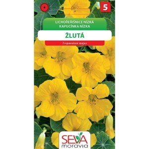Semínka Lichořešnice žlutá (Tropaeolum nanum)