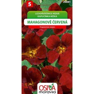 Semínka Lichořešnice mahagonově červená (Tropaeolum nanum)