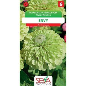 Semínka Ostálka jiřinkokvětá Envy zelená (Zinnia elegans)