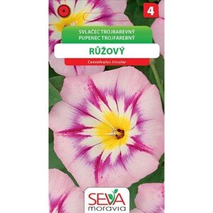 Semínka Svlačec trojbarevný růžový (Convolvulus tricolor)