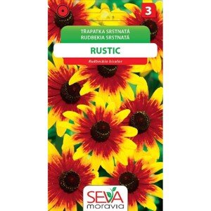 Semínka Třapatka srstnatá Rustic (Rudbeckia hirta)