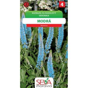 Semínka Rozrazil dlouholistý modrá (Veronica longifolia)
