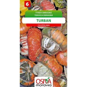 Semínka Tykev okrasná Turban (Cucurbita pepo)