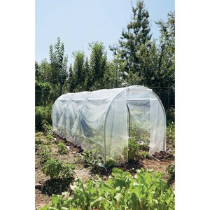 VERDEMAX SPRING MAXI 2598 27V002598