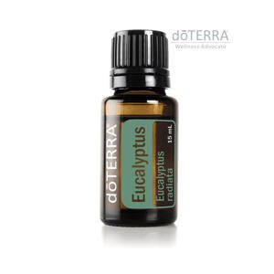 Eukalyptus nebo jinak "olej zdraví"